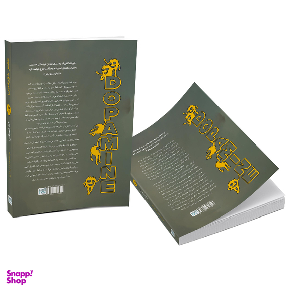 کتاب عصر دوپامین اثر آنا لمبکی نشر آذرگون