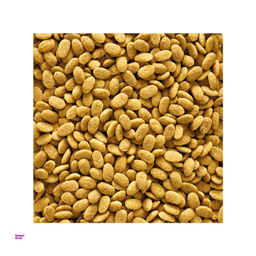خوراک کامل طوطی سانان ورسلاگا مدل P15 Original وزن 1 کیلوگرم