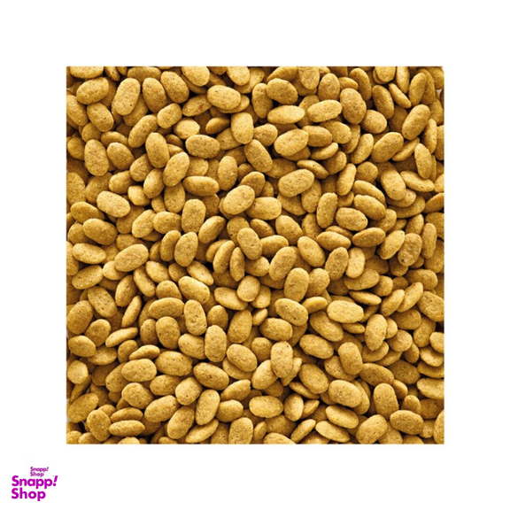 خوراک کامل طوطی سانان ورسلاگا مدل P15 Original وزن 1 کیلوگرم