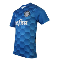 تیشرت ورزشی پسرانه مدل پالمیراس کد NK-3354 رنگ آبی