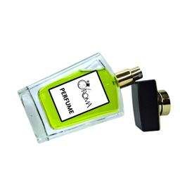 ادکلن آروما مدل لویی ویتون پسفیک چیل