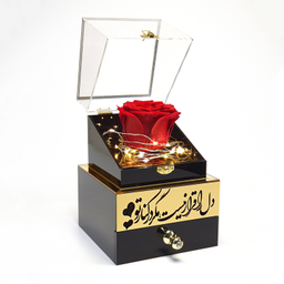 گل رز جاودان مدل موزیکال کوکی طرح دل را قرار نیست