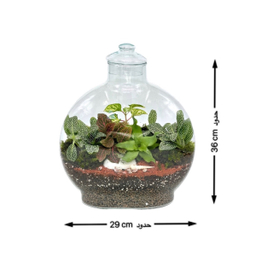 تراریوم مدل آنتالیا سایز بزرگ