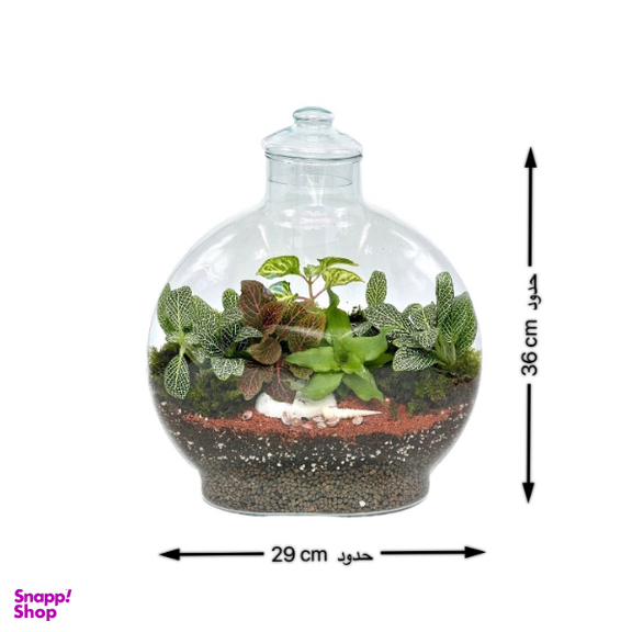 تراریوم مدل آنتالیا سایز بزرگ