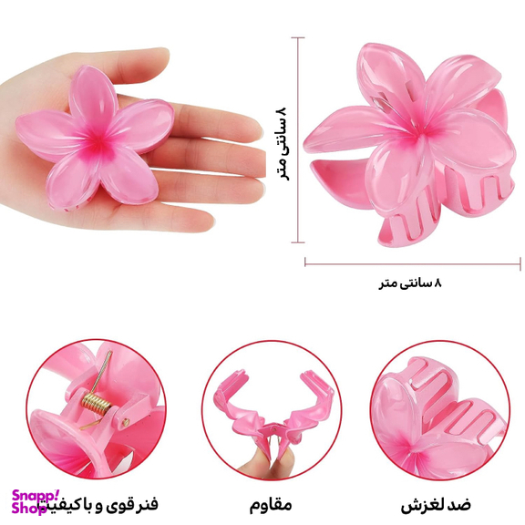 کلیپس مو زنانه مدل پلومریا بسته 2 عددی