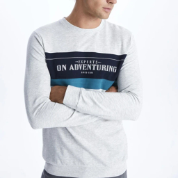 سویشرت مردانه ال سی وایکیکی مدل LORNS