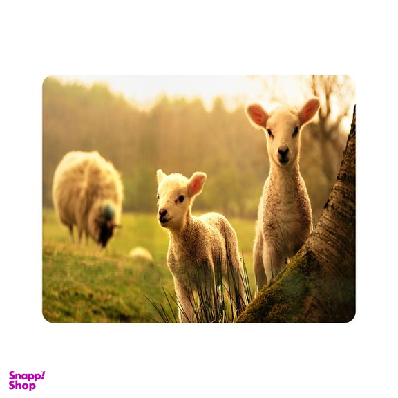 ماوس پد اطلس آبی طرح گوسفند مدل T7843