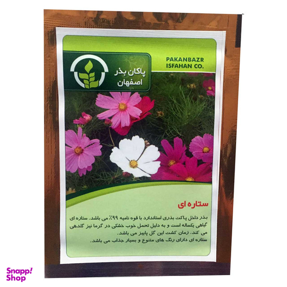 بذر گل ستاره ای پاکان بذر PBGol-134