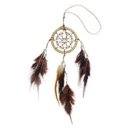 آویز دریم کچر مدل زندگی کد 036