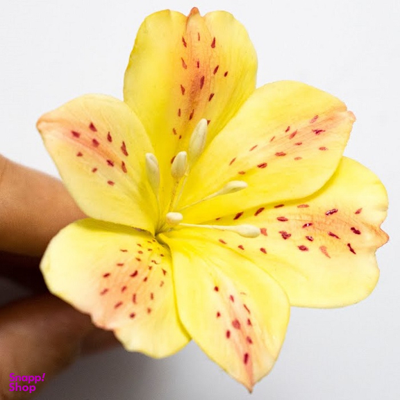 ست کاتر و وینر فوندانت به گز مدل گل آلسترومریا مجموعه 6 عددی