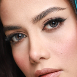 لنز فصلی بیوتی کد Faa310 شماره 14 رنگ خاکستری عسلی تیره دور دار