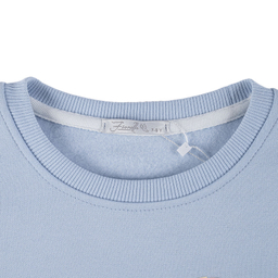 سویشرت پسرانه فیورلا مدل تیمون 45546