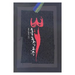 کتاب حیات معنوی مولوی اثر مهدی کمپانی زارع نشر نگاه معاصر