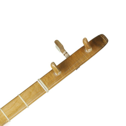 تنبور درویش مدل زاگرس