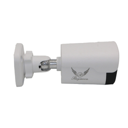 دوربین مداربسته تحت شبکه 5 مگاپیکسل رایمون مدل IP-POE کد 8235