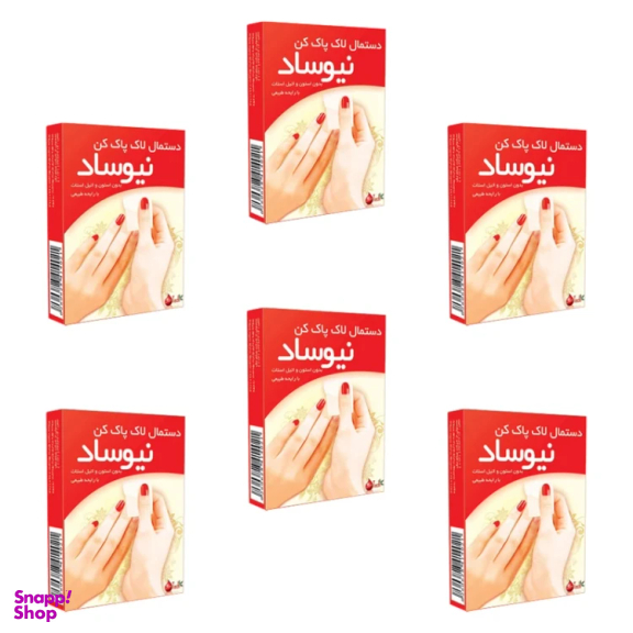 پد لاک پاک نیوساد مدل B06 شش بسته 5 عددی