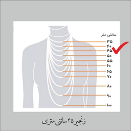 گردنبند زنانه گيلواره زراوشان مدل ایران طرح اسم نیلا کد ER 274