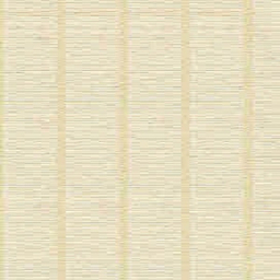 کاغذ دیواری مدل 2-1705