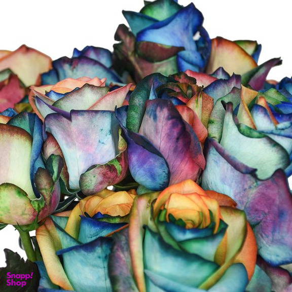 دسته گل رز هلندی هفت رنگ هیمان مدل Ro02