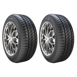 لاستیک خودرو یزد تایر مدل گل نپتون سایز 205/55R16 دو حلقه