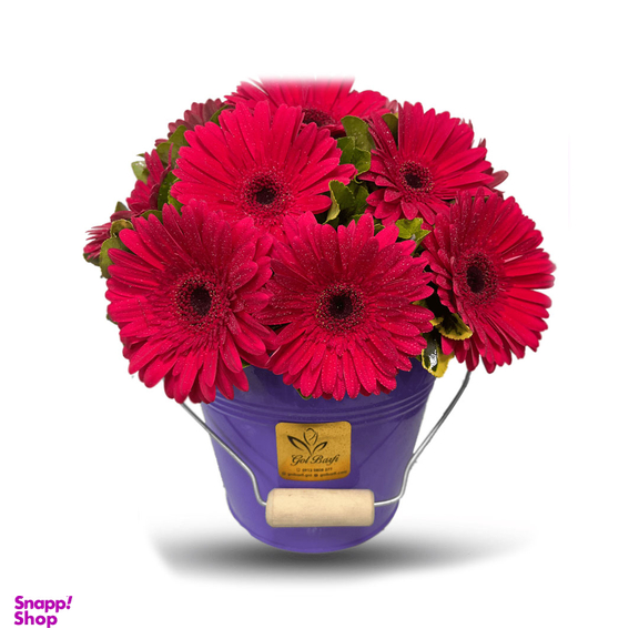 باكس گل طبیعی ژيوار