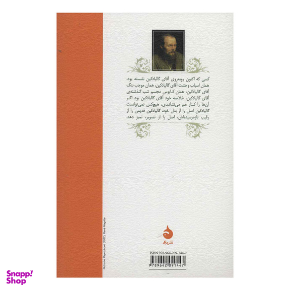 کتاب همزاد اثر فئودور داستایوفسکی نشر ماهی