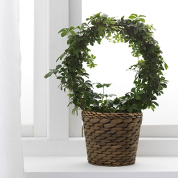 گلدان ایکیا مدل DRUVFLÄDER