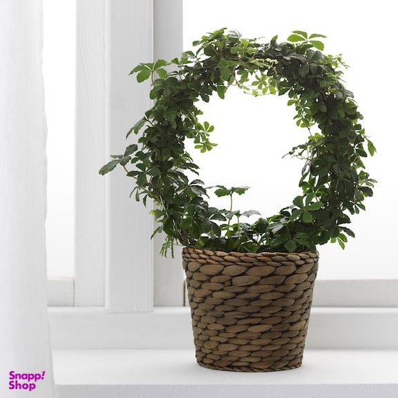 گلدان ایکیا مدل DRUVFLÄDER