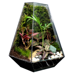 تراریوم ترارتوس مدل 03