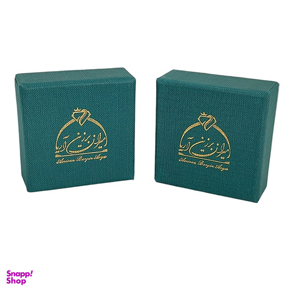 گوشواره طلا 18 عیار زنانه امیران برزین آریا کد 1083