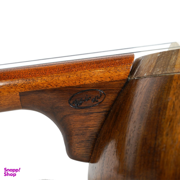 کمانچه فردین صفاری پور کد 55