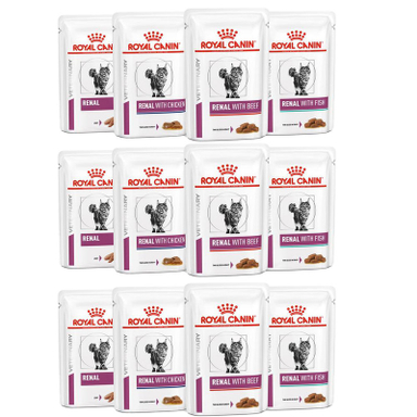 پوچ گربه رویال کنین مدل رنال درمانی وزن 1050 گرم مجوعه 12 عددی