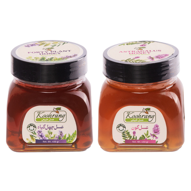 عسل طبیعی چهل گیاه و گون رویال کندو کوهرنگ وزن 450 گرم بسته 2 عددی