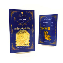 سکه گرمی طلا 18 عیار امین زر کد 1000