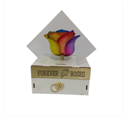 گل خشک رز جاودان کد 504