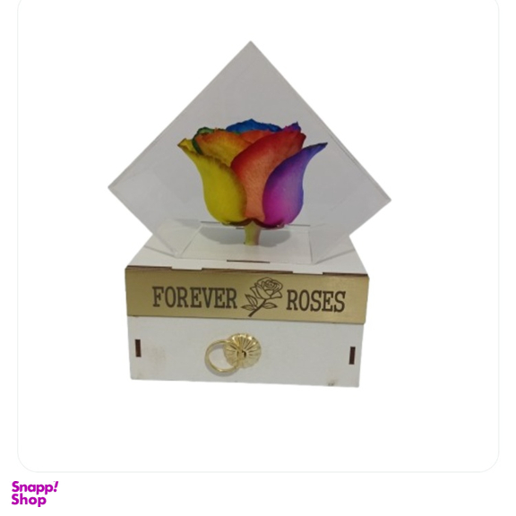 گل خشک رز جاودان کد 504