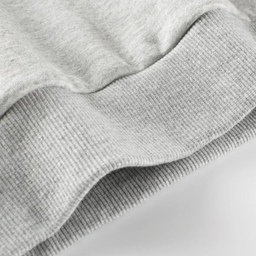 سویشرت پسرانه هومنیتی مدل WYKBSW2913-GRY