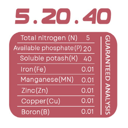 کود پودری گلدهی حاصلخیز مدل XGreen وزن 1 کیلوگرم