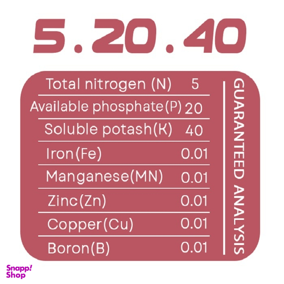 کود پودری گلدهی حاصلخیز مدل XGreen وزن 1 کیلوگرم