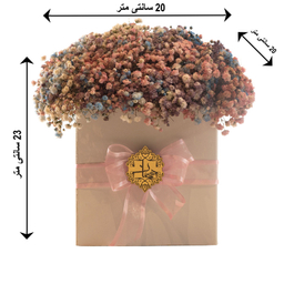 سبد گل طبیعی عروس هفت رنگ هیمان کد B209