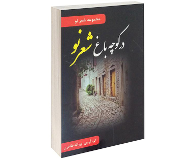 کتاب در کوچه باغ شعر نو اثر پروانه طاهری نشر داریوش