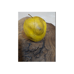 سیب چوبی کد SCH002