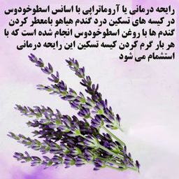 کیسه تسکین درد هیاهو مدل آروماتراپی اسانس اسطوخودوس کد Wheat-20x20-C