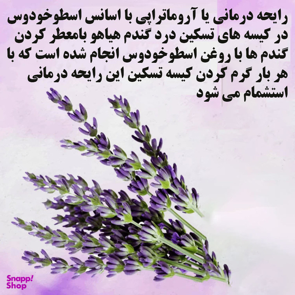 کیسه تسکین درد هیاهو مدل آروماتراپی اسانس اسطوخودوس کد Wheat-20x20-C