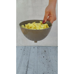 تفاله گیر آریاسام کد 301