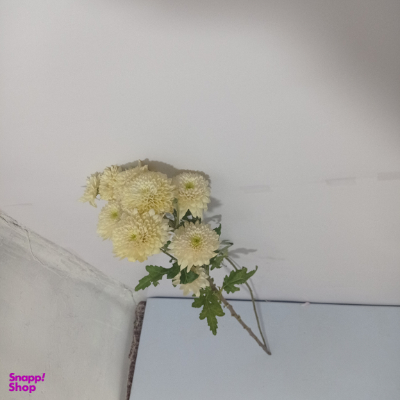 شاخه گل طبیعی داوودی کد 18