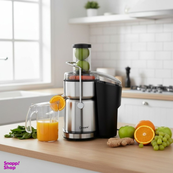 آبمیوه گیری 4 کاره دسینی مدل DS171