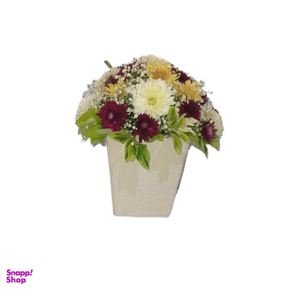 باکس گل طبیعی داوودی کد 113