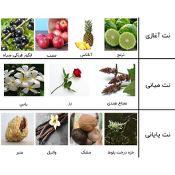 ادوپرفیوم مردانه نیفتی مدل کرید اونتوس حجم 100 میلی لیتر