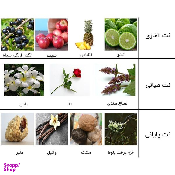 ادوپرفیوم مردانه نیفتی مدل کرید اونتوس حجم 100 میلی لیتر